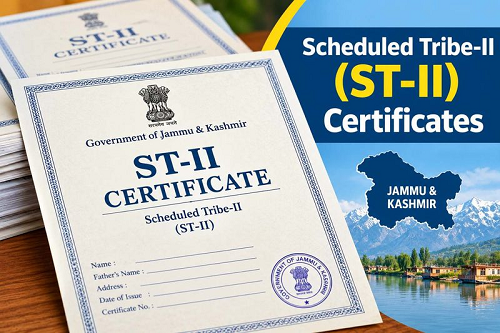 Over 5.73 Lakh ST-II Certificates Issued Across J&K: Govt