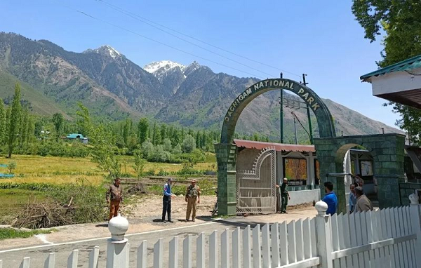 Dachigam National Park Shut Till Oct 31 to Protect Hangul During Rutting Season