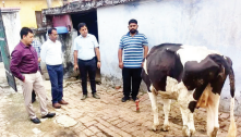 Central team reviews measures to control Lumpy Skin Disease in J&K