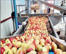 Centre seeks Rs 4.12 Cr refund from J&K Govt over 20-yr delay in Apple Infrastructure Project